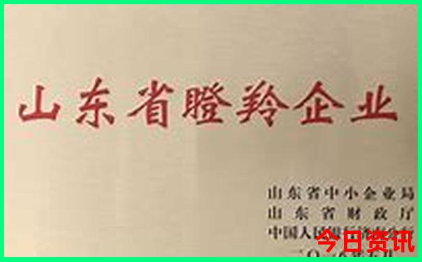 157期澳门彩资料